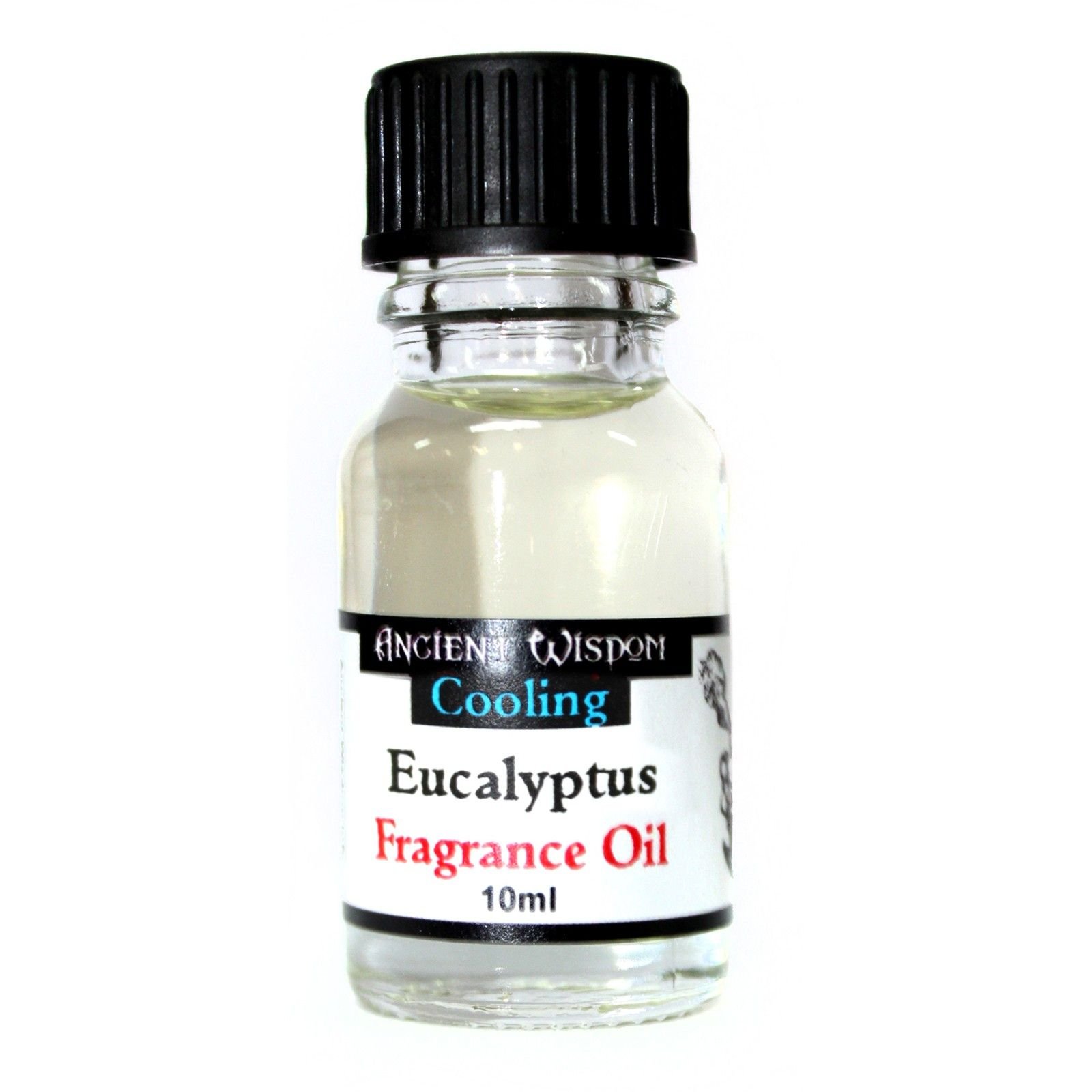Aceites de Fragancia 10ml – Eucalipto - imagen 2