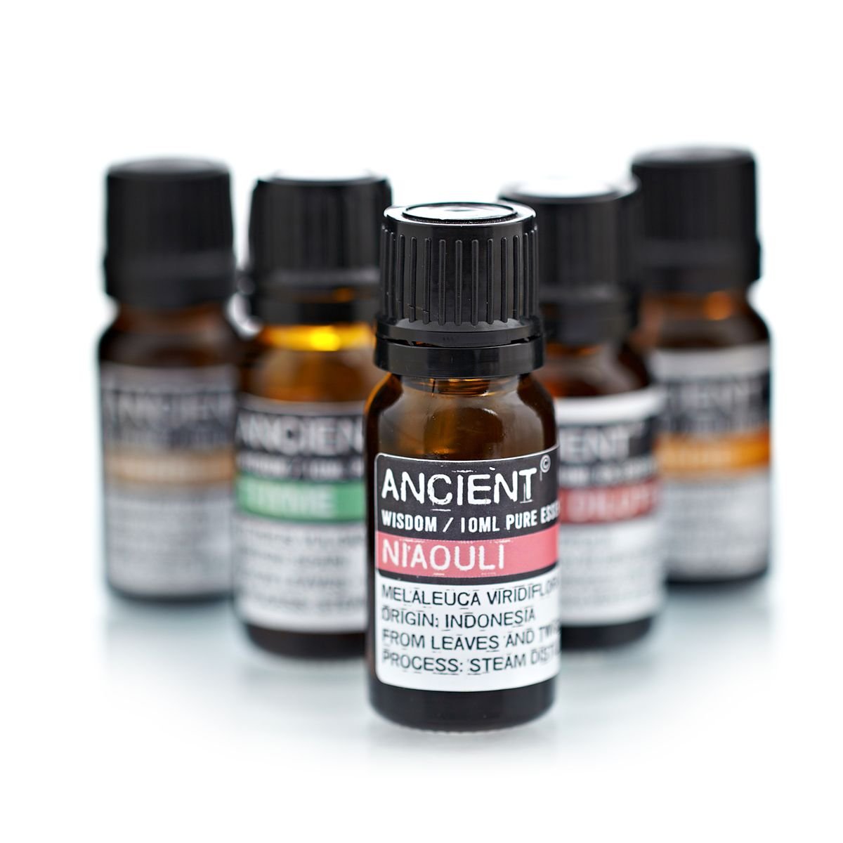 Aceite Esencial de Niaouli Puro 10ml - Imagen 2