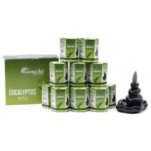 Paquete de 10 Incienso Masala Backflow - Eucalipto